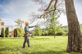  Canutillo, TX Tree Services Pros